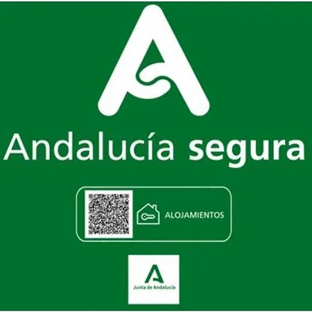Apartamento Todosierranevada Zona Baja - Edificio Atlas - Vistas A La Montana - Junto A Telecabinas Sierra Nevada